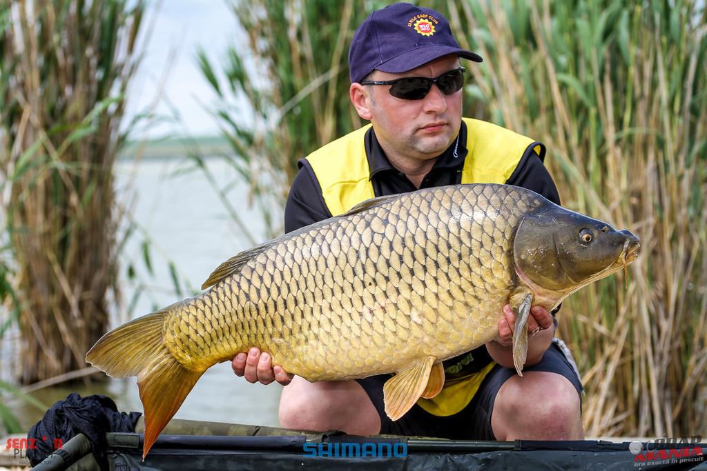 Prima semifinala a Campionatului AGVPS 2017. Ce echipe s-au calificat in finala?